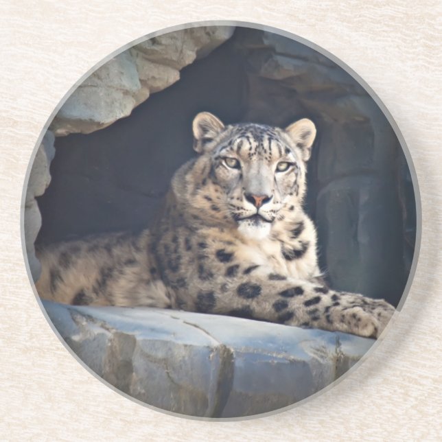 Porta-copos De Arenito Snow Lepard (Frente)