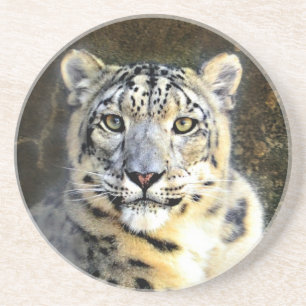 Porta-copos De Arenito Snow Lepard