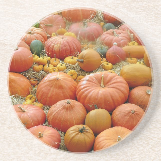 Porta-copos De Arenito Squashes Galore (Frente)