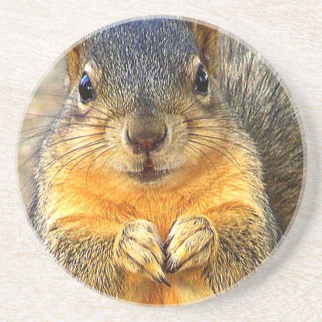Porta-copos De Arenito Squirrel Love (Frente)