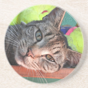Porta-copos De Arenito Tabby Cat Love