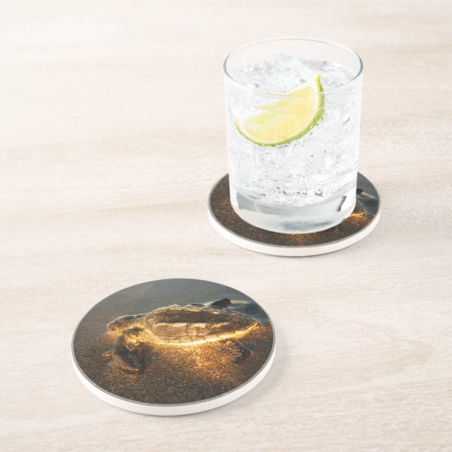 Porta-copos De Arenito Tartaruga (Lateral)