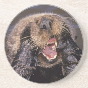 Porta-copos De Arenito Tartarugas marinhas, Enhydra lutris 6