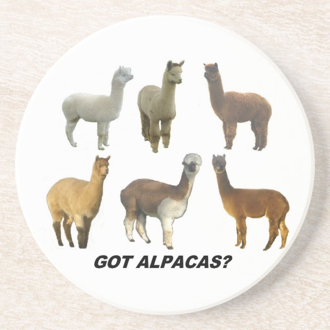 Porta-copos De Arenito Tem alpacas? (Frente)