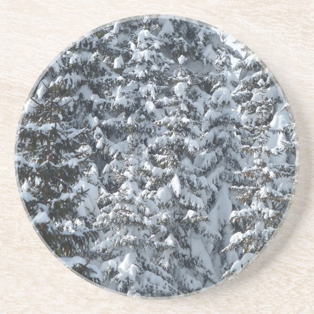 Porta-copos De Arenito Textura de árvore de abertura de neve (Frente)