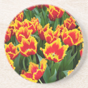 Porta-copos De Arenito Tulipa Fabio, Keukenhof, Países Baixos