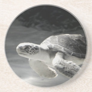 Porta-copos De Arenito Turtle Mesa Home Decor