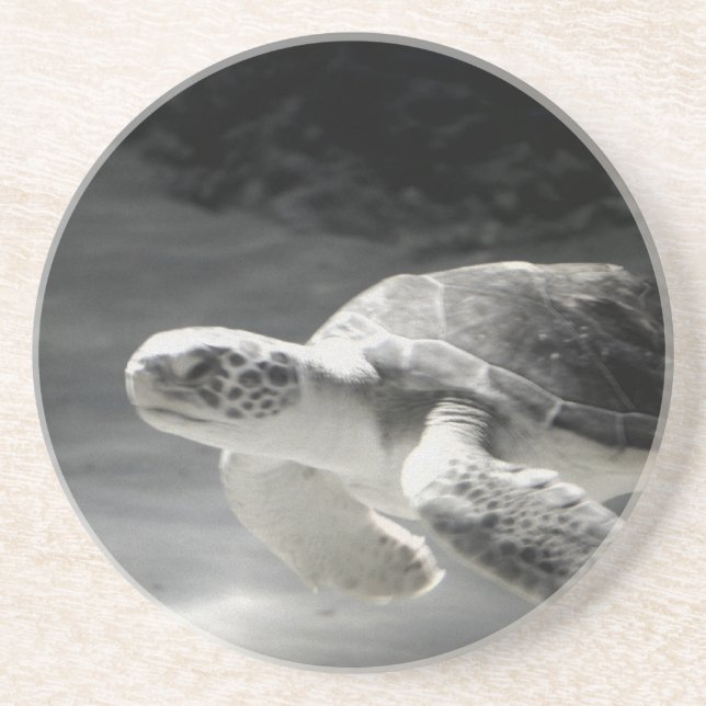 Porta-copos De Arenito Turtle Mesa Home Decor (Frente)
