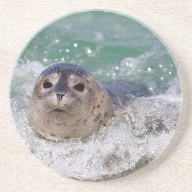Porta-copos De Arenito Um filhote de foca surfando (Frente)