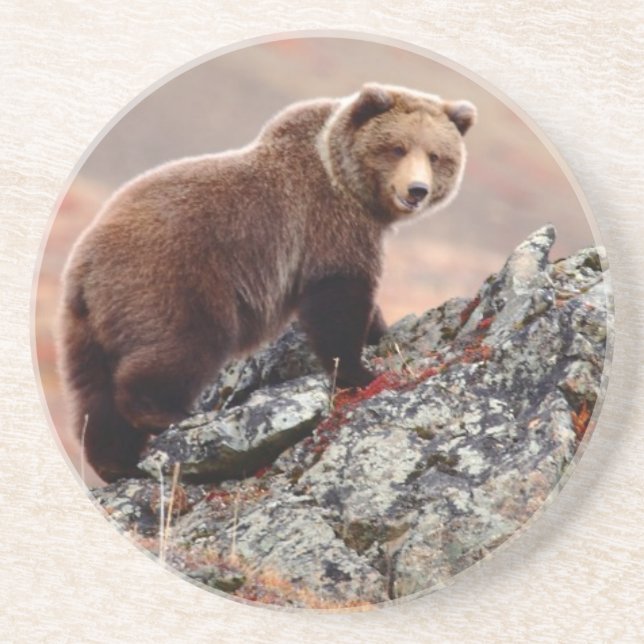 Porta-copos De Arenito Urso de Denali Brown (Frente)