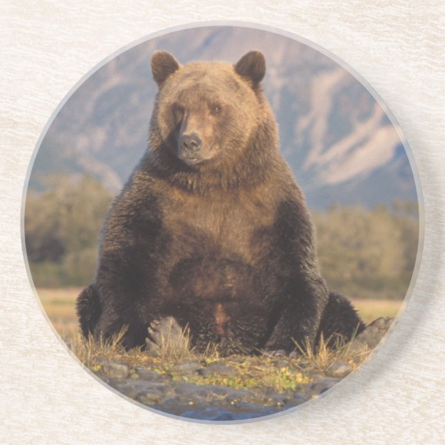 Porta-copos De Arenito urso pardo, Ursus arctos, urso cinzento, Ursus (Frente)