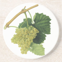 Uvas Brancas para Vinho na Videira, Frutas Aliment