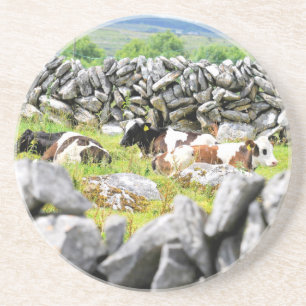 Porta-copos De Arenito Vacas de Moo