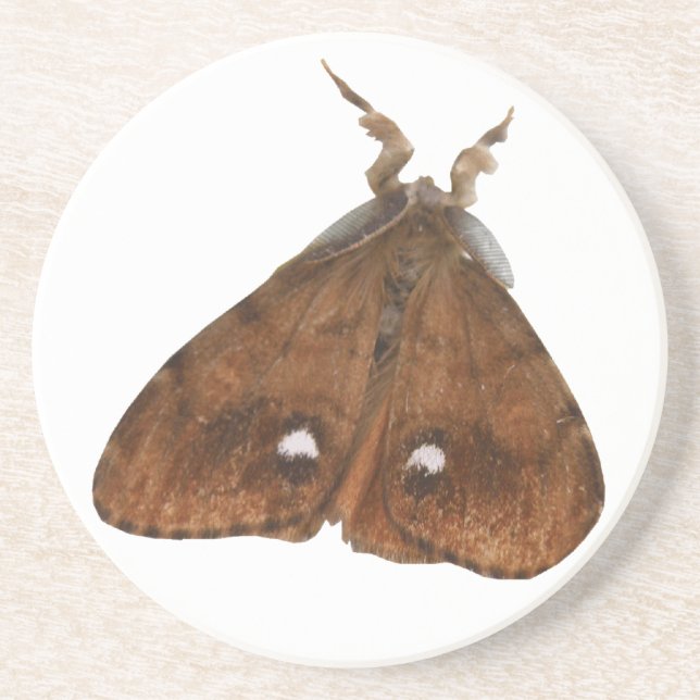 Porta-copos De Arenito Vapourer Moth Portas copos (Frente)