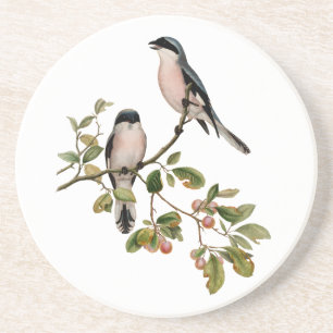 Porta-copos De Arenito Vintage Bonito Birds em uma ramificação