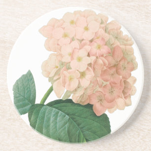 Porta-copos De Arenito Vintage Pink Hydrangea Hortensia Flower por Redout