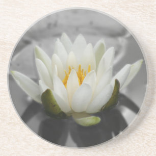 Porta-copos De Arenito Water Lily Floral Coaster