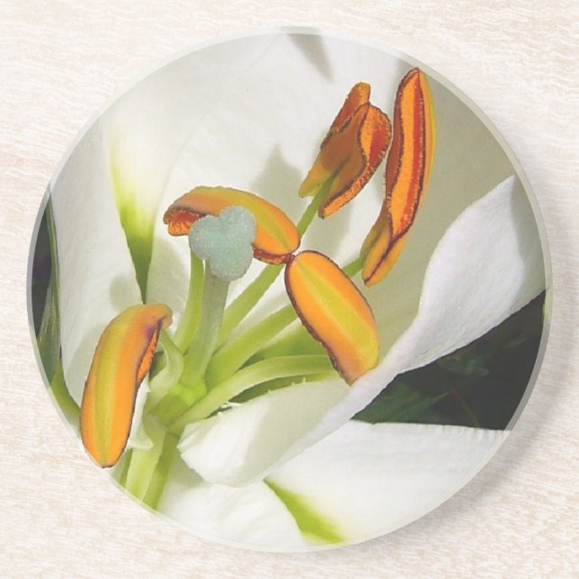 Porta-copos De Arenito White Lily (Frente)