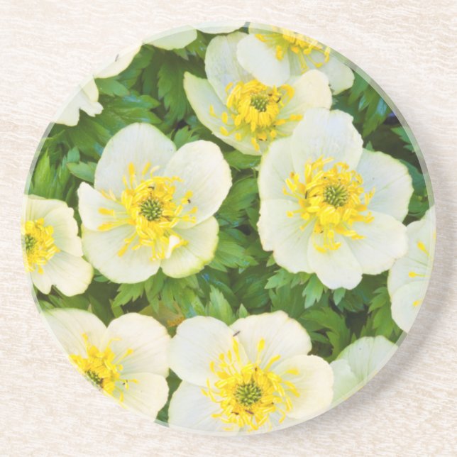 Porta-copos De Arenito Wyoming, Condado de Sublette, encerramento de um g (Frente)