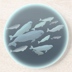 Porta copos de Arte de Baleia Portas copos Beluga