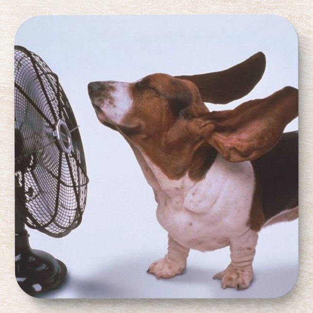 Porta copos de Basset Hound (Frente)