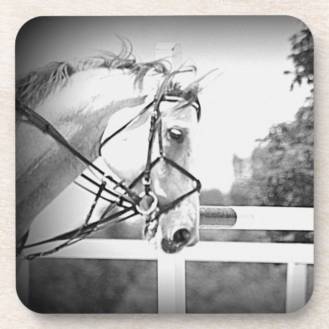 porta copos de Cavalo de cinza (Frente)
