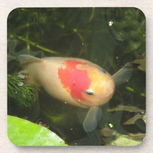 Porta copos de Cork Goldfish