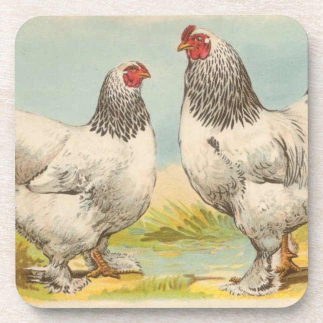 Porta copos de Cork "Light Brahama Chicken" (Frente)