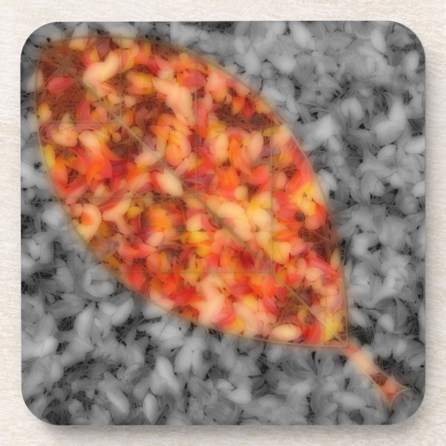 Porta copos de Cork Sombreado Brilhante (Frente)