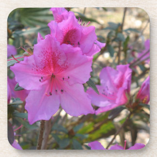 Porta copos de Cortiça das Flores de Azaleas Rosa