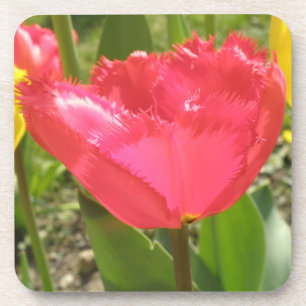 Porta copos de Cortiça das Tulipas de Fragmentaç