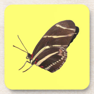 Porta copos de Cortiça de Borboleta Zebra
