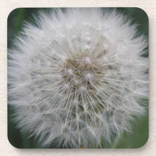 Porta copos de Cortiça de Flor Dandelion para sem