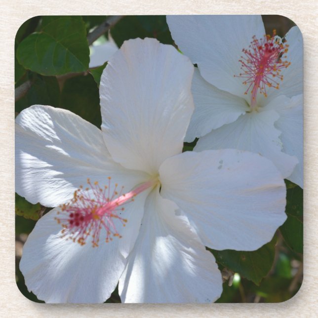 Porta copos de Cortiça de Fragrância Floral (Frente)