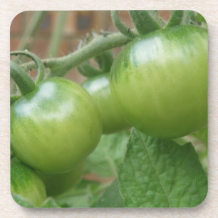 Porta copos de Cortiça de Tomates Verdes