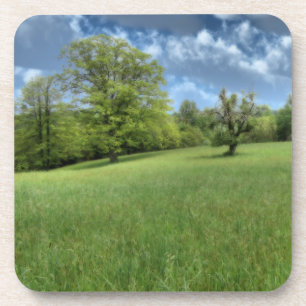 Porta copos de Cortiça Verde Appalachian