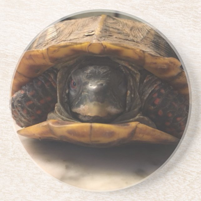 porta copos de Duncan (Frente)