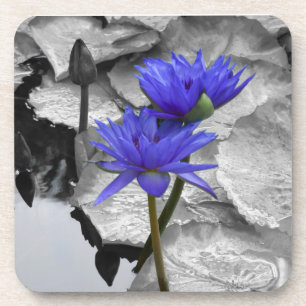 Porta copos de Duro de Water Lily Love