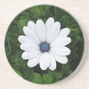 Porta copos de Flor Branco