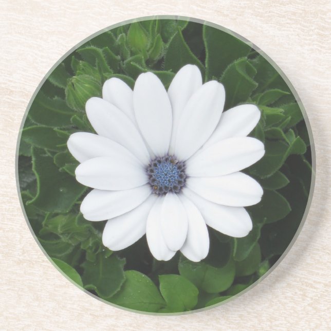 Porta copos de Flor Branco (Frente)
