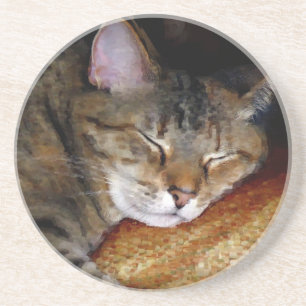 Porta copos de Gatos de Sono