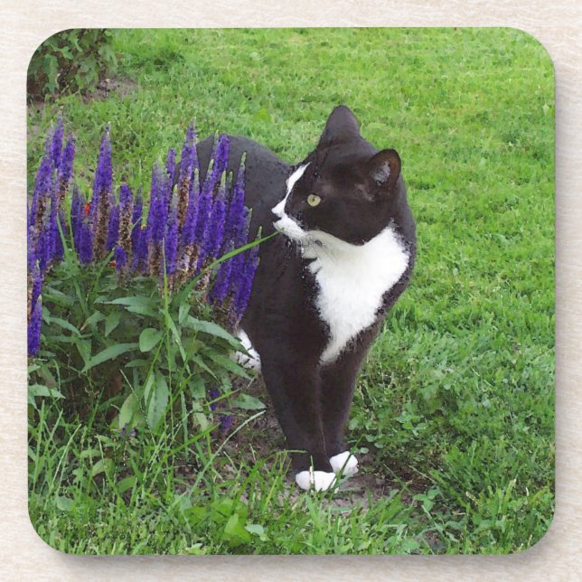 Porta copos de gatos Tuxedo (Frente)