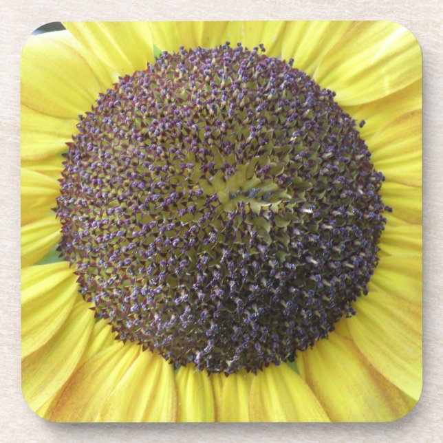 Porta copos de girassol amarelo (Frente)
