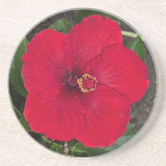 Porta copos de Hibiscus (Frente)