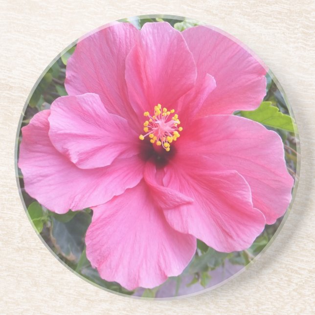 Porta copos de Hibiscus Rosa (Frente)
