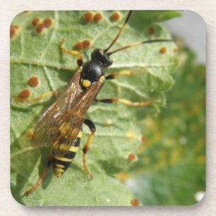 Porta copos de Hoverfly Cork
