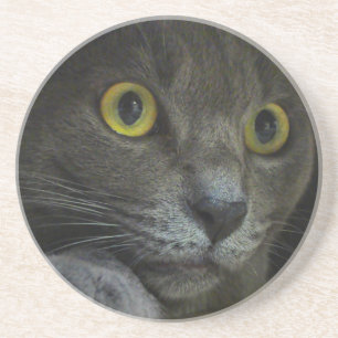 Porta copos de intensidade