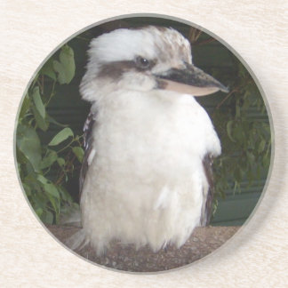 Porta copos de Kookaburra