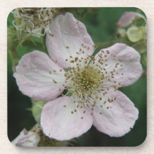 Porta copos de Macro Cork da Flor de Amorango
