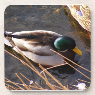 Porta copos de madeira de cortiça